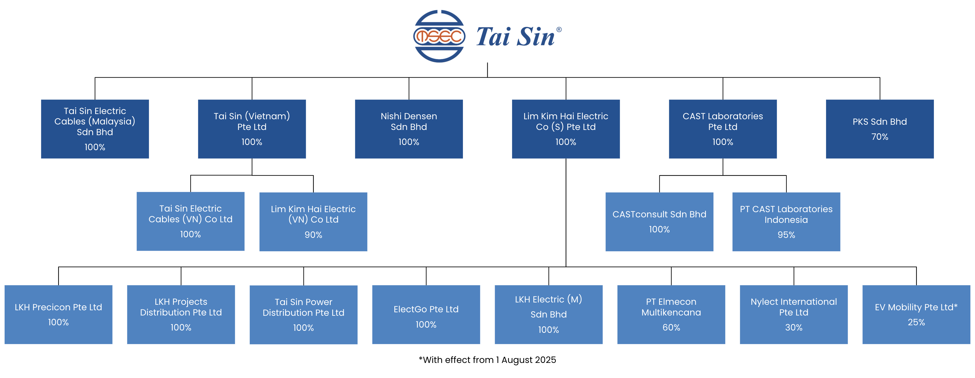 TSG-Corp-Structure-Oct2025
